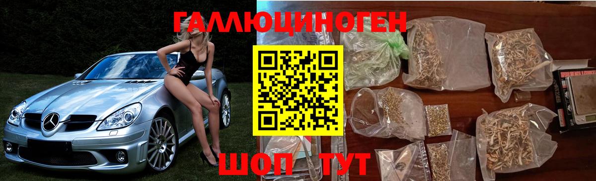 Россия  Псилоцибиновые грибы мицелий  Вход с VPN 